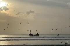 IMG_2019-scaled