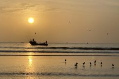 IMG_2039-scaled