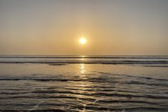 IMG_2604-scaled