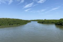 IMG_8178-scaled