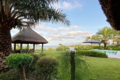 Jardin-1