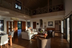 Salon-3